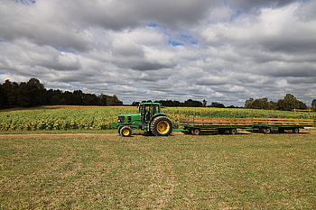 Farming, farm, harvest, vehicle, tractor HD wallpaper