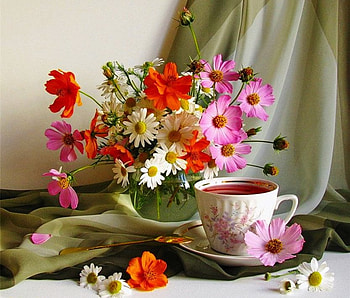 The beauty of a moment, colorful, good morning, beautiful, beauty, still life, nature, flowers, pleasant, tea cup HD wallpaper
