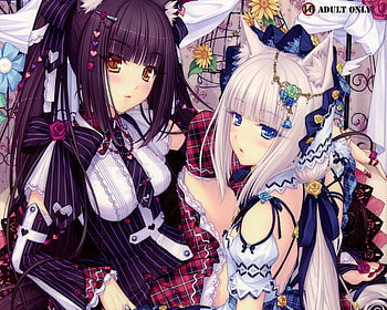 animal ears catgirl chocolat (sayori) cropped nekopara original sayori scan vanilla (sayori) HD wallpaper