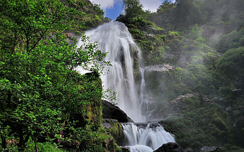 Nature, Trees, Grass, Waterfall HD wallpaper