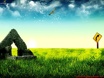 Digital Beauties, digital, beauties HD wallpaper