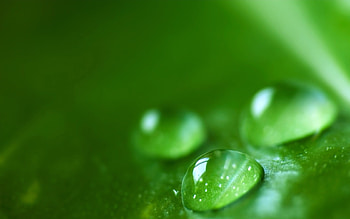 Background, Drops HD wallpaper