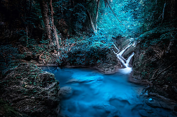 Forest Dreamy Waterfall , forest, waterfall, nature HD wallpaper
