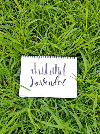 Grass, Words, Inscription, Word, Notepad, Notebook HD phone wallpaper