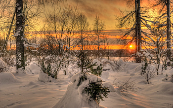 A cold winter morning, 2011, winter, 15, , 11 HD wallpaper