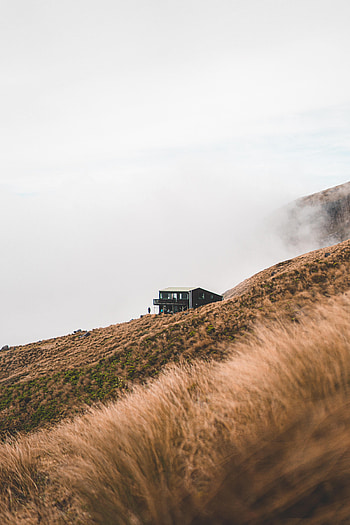 Nature, Fog, House, Field, Meadow HD phone wallpaper