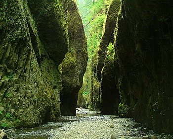 Oneonta Gorge, gorge, water, light, rock HD wallpaper