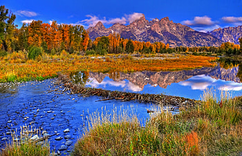 Mountain River, Nature, Autumn, River, Mountain HD wallpaper