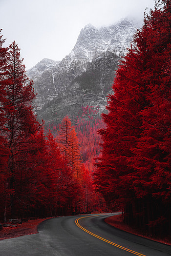 Landscape, Nature, Trees, Mountain, Road, Turn HD phone wallpaper