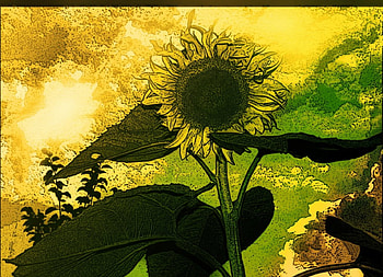 Sunflower, painting HD wallpaper