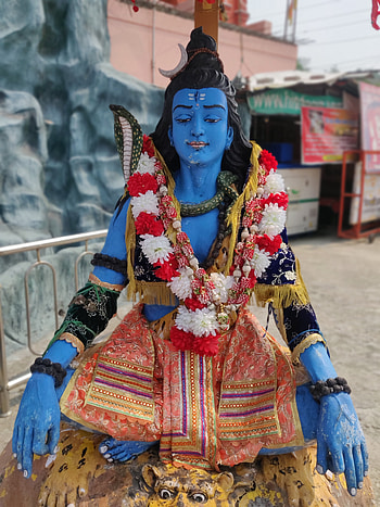 Lord Shiva, devotion, gods HD phone wallpaper