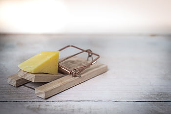 Close-up of a wooden mousetrap with a piece of cheese on a rustic table surface. HD wallpaper