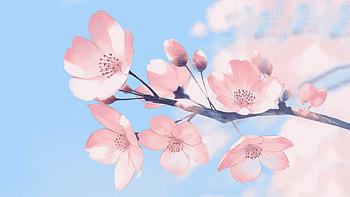 Sakura-tree, Sakura, leaf, nature, tree HD wallpaper