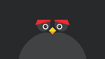 Black, Angry Bird, minimal & dark HD wallpaper