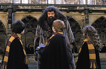 Hagrid and the trio, Unbreakable bond, Cherished mentors, Hogwarts memories HD wallpaper