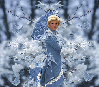 Feminine Blue, blue, butterflies, white, soft, girl, modest, feminine, vintage HD wallpaper
