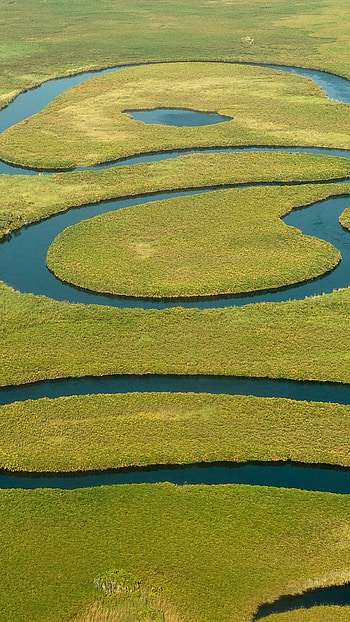 Aerial view of Okavango River branch, Botswana beauty, Windows spotlight, Nature's wonder HD phone wallpaper