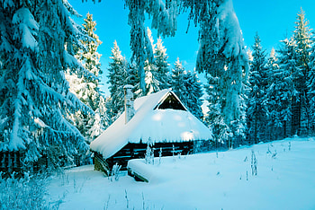 Winter, Nature, Snow, Poland, Forest, Small House, Lodge HD wallpaper