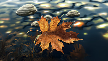 Autumn Leaf On Water, autumn, leaf, water, artist, artwork, art, digital-art, artstation HD wallpaper