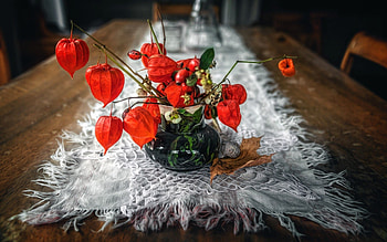 Physalis, Table decoration, , and mobile HD wallpaper