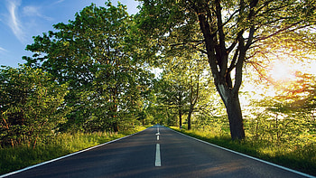 Nature, Trees, Summer, Road, Markup, Asphalt, Sunlight HD wallpaper