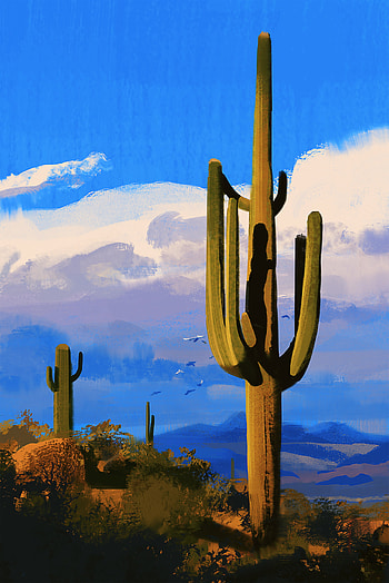 Cactuses, Birds, Art, Prairie, Canvas HD phone wallpaper