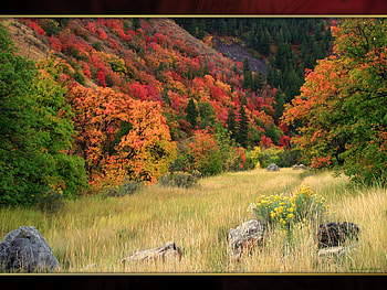 Logan Canyon Autumn, autumn, canyon HD wallpaper
