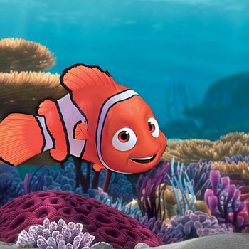 Nemo, Finding Nemo HD phone wallpaper