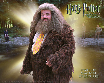 Hagrid From Harry Potter, books, other, hagrid, people, harry potter series HD wallpaper