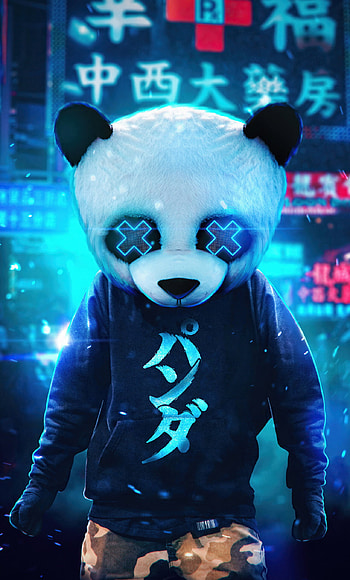 Panda guy, , , Cute animal HD phone wallpaper