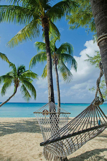 Cayman Islands, Travels, Beach on Cayman islands, Resorts HD phone wallpaper