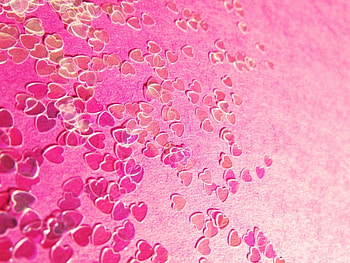 Hearts xoxo, sweet, shapes, graphy, confetti, cute, pink, xoxo, abstract, pretty, love, hearts, textures HD wallpaper