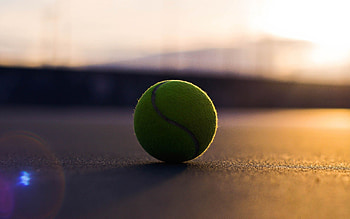 Tennis ball, Sports equipment, Green grass, Recreation HD wallpaper