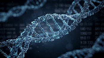 Genetic Code — Luminous DNA Helix, DNA Structure, Double Helix, Molecule, Genetics HD wallpaper