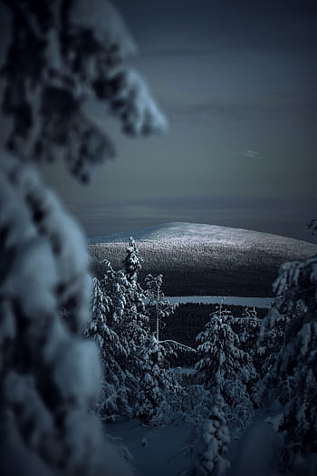 Breathtaking view of a snowy winter forest in Finland at twilight, capturing pristine nature. HD phone wallpaper