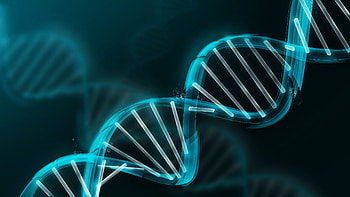 ---gene (. HD wallpaper