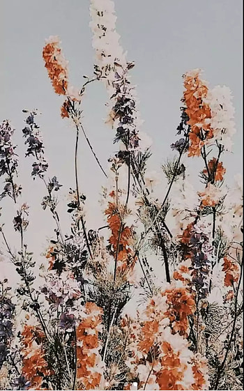 boho HD phone wallpaper
