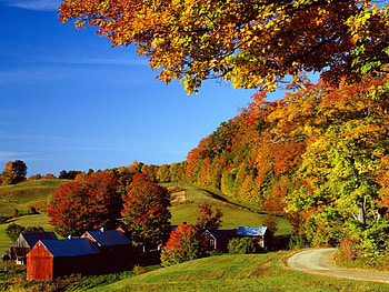 Woodstock In Autumn Vermont, landscape, nature HD wallpaper