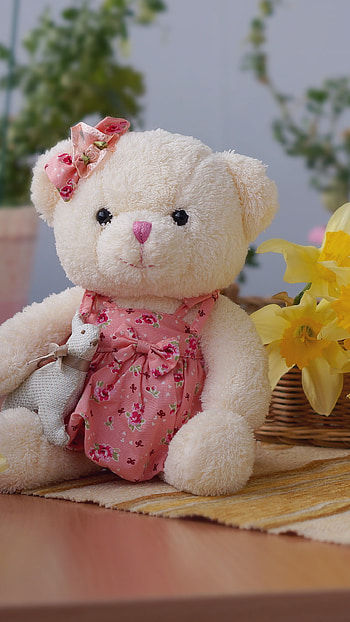 Teddy Bear Ke, Floral Background HD phone wallpaper