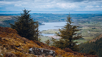 Dodd, Lake District, England, hills, clouds, landscape, trees, sky, stones HD wallpaper