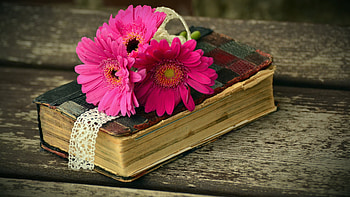 Blooming pages, Floral bookmarks, Bookish beauty, Bibliophile's delight HD wallpaper