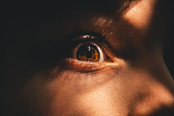 Macro, Close-Up, Eye, Pupil, Eyelash, Eyelashes HD wallpaper