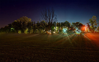 Nature, Trees, Sky, Stars, Dawn, Glare, Shine, Light, Beams, Rays, Landing HD wallpaper