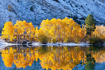 Autumn, snow, trees, lake, mountain HD wallpaper