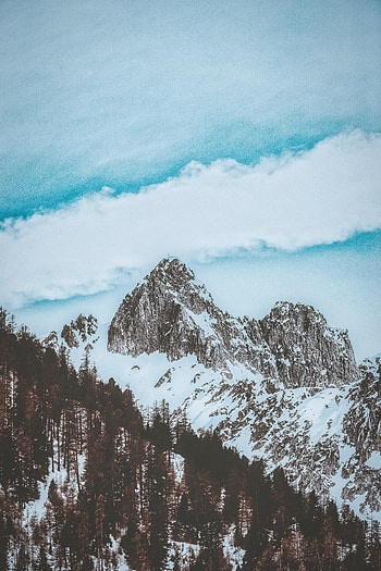 Nature, exotic, cloudy day, mountains, forest HD phone wallpaper