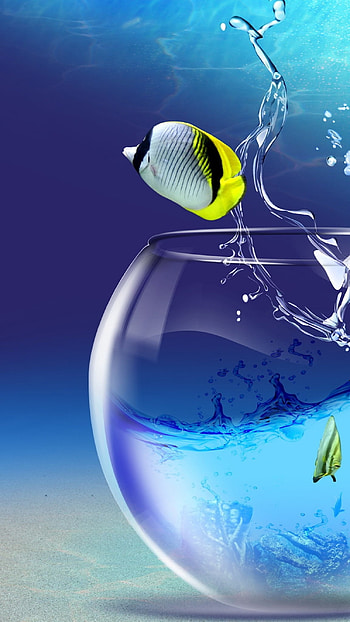 Fish Water, Fish, Water HD phone wallpaper