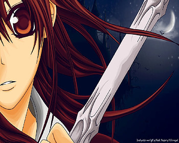 Yuki Cross, tv show, vampire knight, anime, yuki, wall, girl, new HD wallpaper