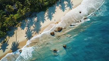 Tropical Beach Oasis, palm tree, graphy, beach HD wallpaper