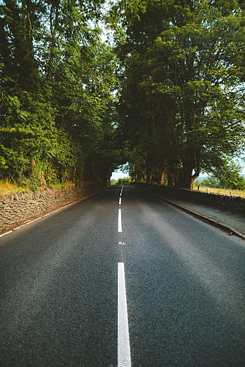 A scenic empty country road lined with dense trees, perfect for travel and adventure themes. HD phone wallpaper