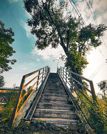 Fantastic pic of stair, cloud, sky, stais, green, reflection, nature, grass, water HD phone wallpaper